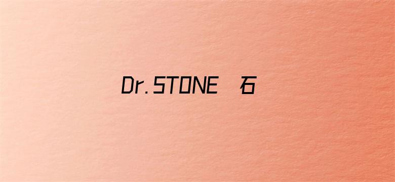 Ｄｒ．ＳＴＯＮＥ　石纪元